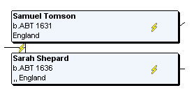 A Lightning Bolt means your data differs from that of other genealogists