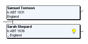 A Light Bulb means there is a possible match with another family tree