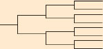 genealogy family tree